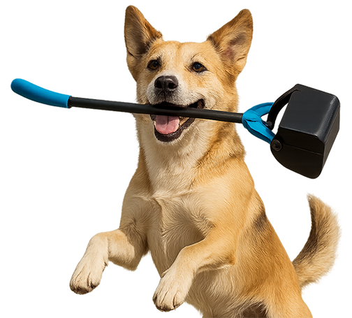 Pet Care Service